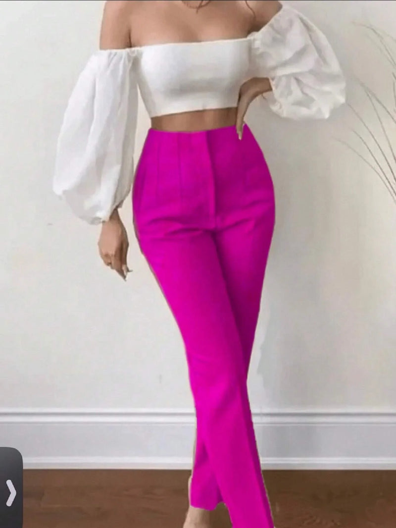 Basic Women's Tailor Pants Winter Spring Autumn Spring Social Elegant Versatile Comfortable Casual Modern Style