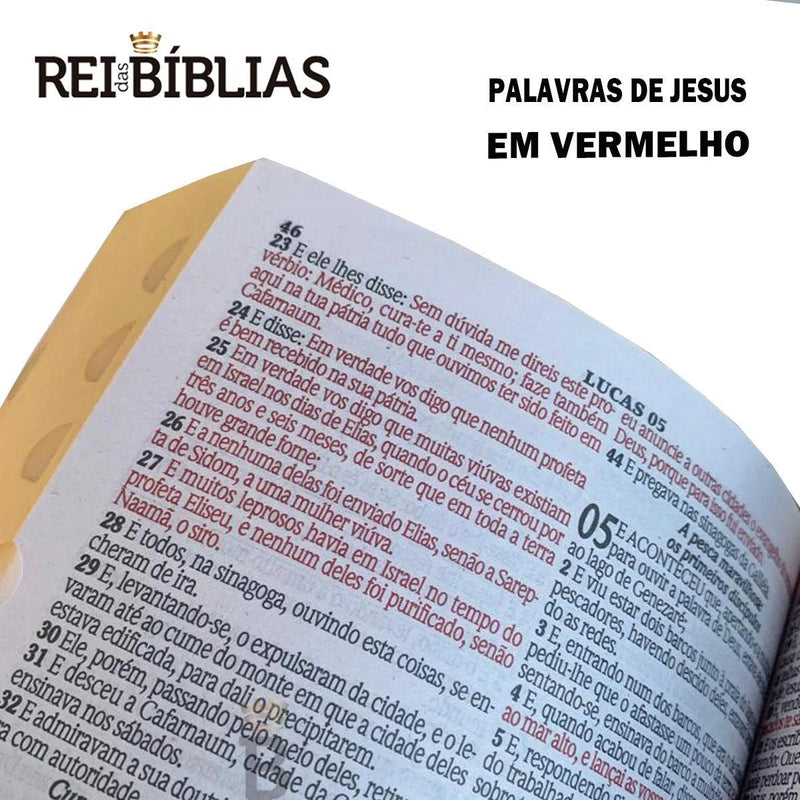 Biblia Letra Sagrada Gigante Luxo Popular-Preto-RC - CRAVO ROSE