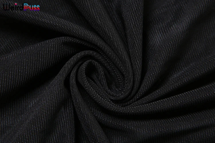 Weird Puss Patchwork Velvet Dress Women Turtleneck See Through Full Sleeve Skinny Trend Sexy Banquet Party Elegant Long Bodycon