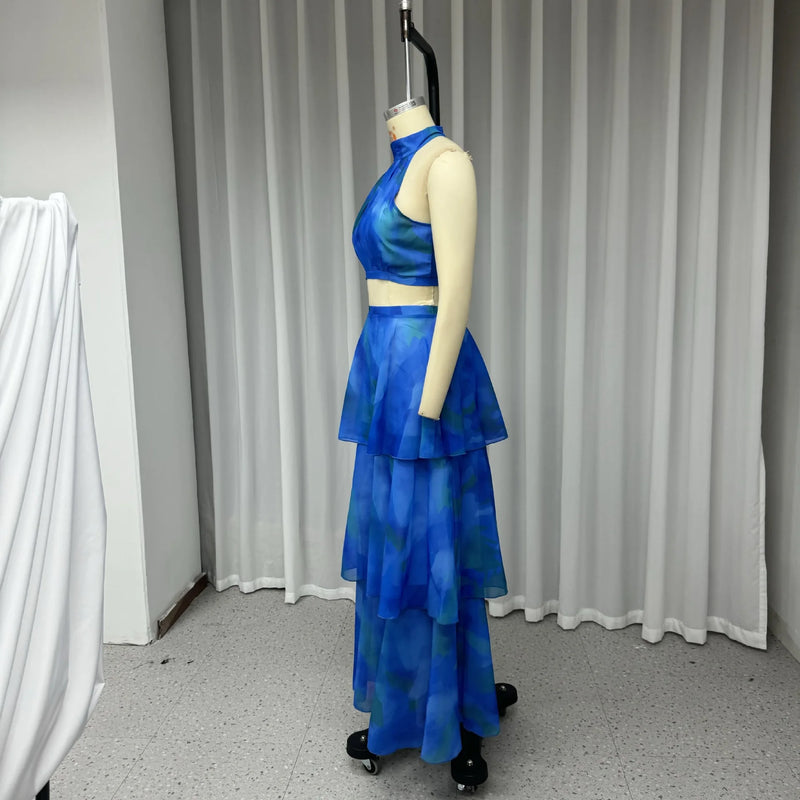 Cake Skirt Set Women Dress Sets Two Piece Sets Sexy Print Sleeveless Short Tops Elegant Splice High Waist A Line Long Skirts