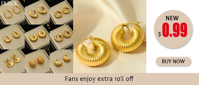Brincos de argola EILIECK 316L em aço inoxidável dourado, formato de leque, geométrico, estilo boêmio, para mulheres, pingente de orelha, joia, presente para festa